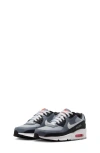 Nike Air Max 90 Sneaker In Gray