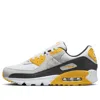 Nike Air Max 90 White Lightning In Multi