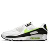 Nike Air Max 90 Sneaker In Multi