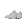 Nike Air Max 90 Wolf Grey/wolf Grey/wolf Grey/black Men's Low Shoe In Wolf Grey/wolf Grey/wolf Grey/black