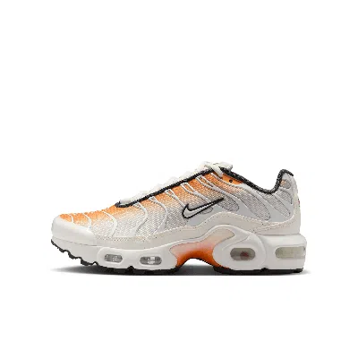 Nike Babies' Air Max Plus Big Kids' Shoes In Orange