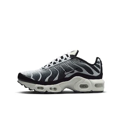 Nike Air Max Plus Big Kids' Shoes In Multi