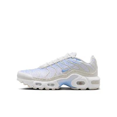 Nike Air Max Plus Big Kids' Shoes In Blue