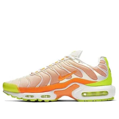 Nike Air Max Plus 'color Flip' In Multi