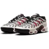 Nike Air Max Plus Drift Sneaker In Phantom/silver/black