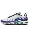 Nike Air Max Plus 'grape' In Multi