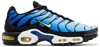 Nike Air Max Plus Sneaker In Blue
