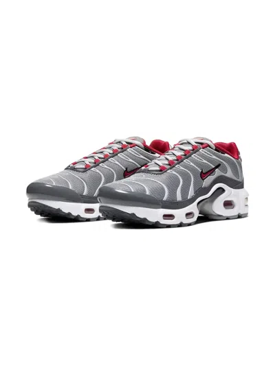 Nike Kids' Air Max Plus Sneakers In Gray