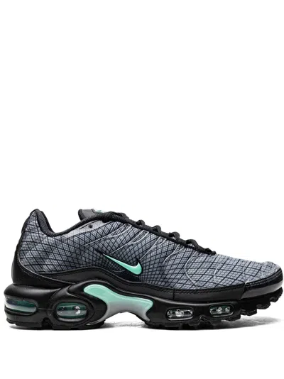 Nike Air Max Plus Low-top Sneakers In Grey