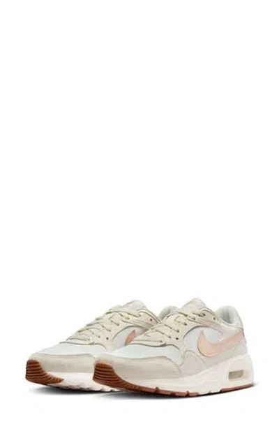 Nike Air Max Sc Sneaker In Sail/sanddrift-gum Med Brown