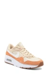 Nike Air Max Sc Sneaker In Sanddrift/white/brown