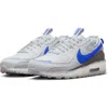 Nike Air Max Terrascape 90 Sneaker In Pure Platinum/hyper Royal