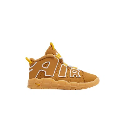 Pre-owned Nike Air More Uptempo Td 'wheat' | Brown | Infant Size 8