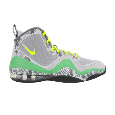 Pre-owned Nike Air Penny 5 Gs 'wolf Grey'