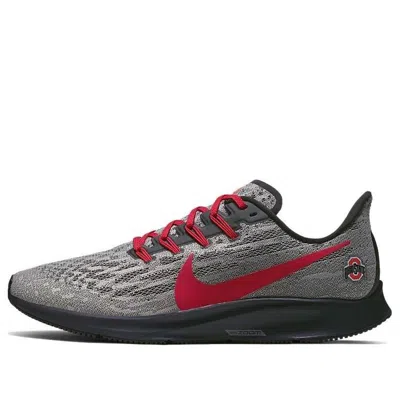 Nike Air Zoom Pegasus 36 'ohio State' In Multi
