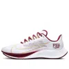 Nike Air Zoom Pegasus 37 'florida State'