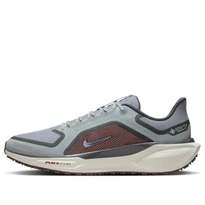 NIKE NIKE AIR ZOOM PEGASUS 41 GORE-TEX 'LIGHT PUMICE ASHEN SLATE BURGUNDY'