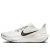 Nike Pegasus Plus Running Shoe In Silver