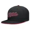 Nike Black Arizona Diamondbacks True Performance Fitted Hat
