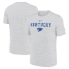 Nike Ash Kentucky Wildcats 2025 Sideline Velocity Performance T-shirt In Gray
