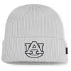 Nike Auburn Utility Off-field  Men's College Cuffed Beanie In Gray