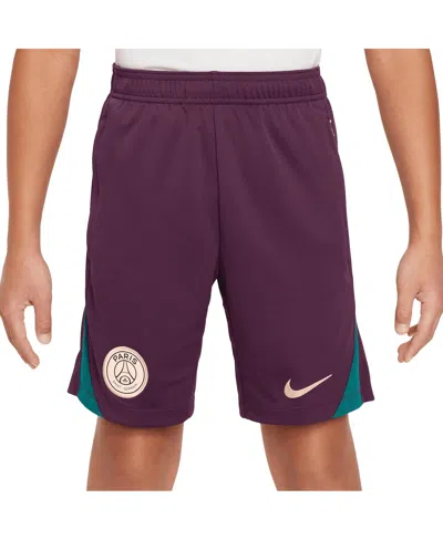 Nike Kids' Big Boys And Girls Burgundy Paris Saint-germain 2024/25 Strike Performance Shorts