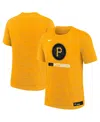 Nike Big Boys And Girls Gold Pittsburgh Pirates Authentic Collection City Connect Velocity Performance T-