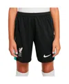 Nike Big Boys And Girls Navy Liverpool 2024/25 Away Stadium Shorts In Navy