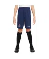 Nike Big Boys And Girls Navy Paris Saint-germain 2024/25 Academy Pro Shorts In Navy