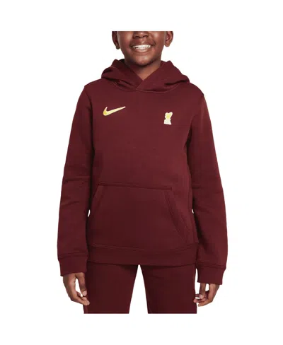 Nike Big Boys And Girls Red Liverpool Club Pullover Hoodie In Maroon