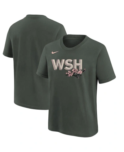 Nike Kids' Big Boys  Gray Washington Nationals City Connect Wordmark T-shirt In Green