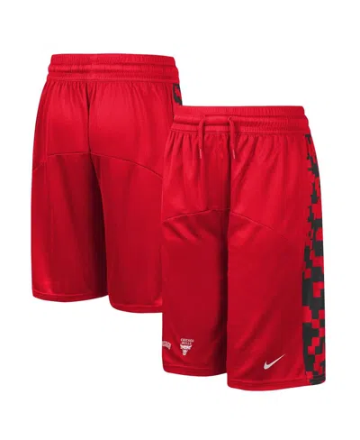 Nike Kids' Big Boys  Red Chicago Bulls Courtside Starting Five Team Shorts