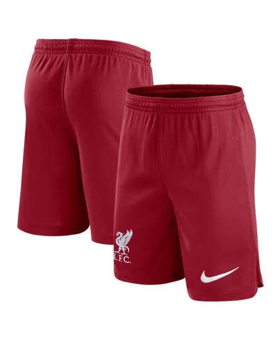 Nike Kids' Youth  Red Liverpool Stadium Performance Shorts