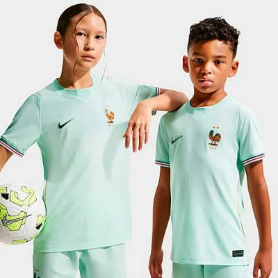 Nike Big Kids France 26 Stadium Away Dri-fit Replica Soccer Jersey In Green