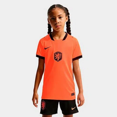 Nike Big Kids Netherlands 26 Stadium Home Dri-fit Replica Soccer Jersey In Orange