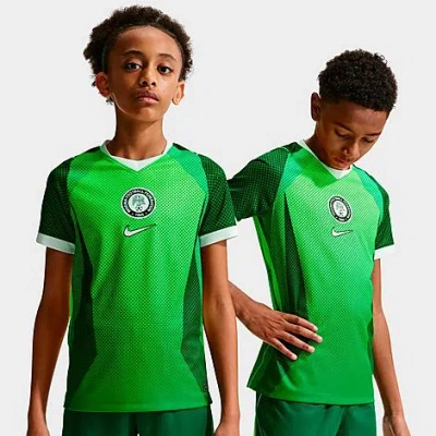 Nike Big Kids Nigeria 26 Stadium Home Dri-fit Replica Soccer Jersey In Green