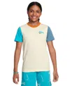 Nike Big Kids Sportswear Colorblocked Cotton T-shirt In White