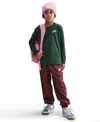 Nike Big Kids Sportswear Logo Embroidered Long-sleeve T-shirt In Green