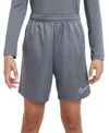 Nike Trophy23 Big Kids' Dri-fit Training Shorts In Smoke Grey