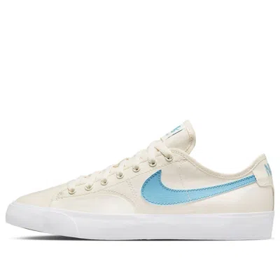 Nike Blazer Court Sb 'phantom Cerulean' In Multi