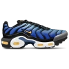Nike Boys   Air Max Plus In Black/blue