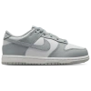 Nike Boys  Dunk Low