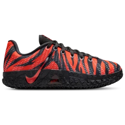 Nike Kids' Boys  Ja 3 Animal Pack Per In Multi