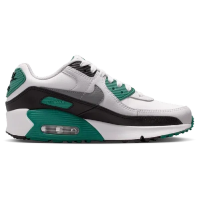 Nike Kids' Boys   Air Max 90 In Multi