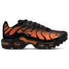 Nike Boys   Air Max Plus In Multi