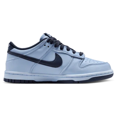 Nike Kids' Boys  Dunk Low Lv8 2 In Hydrogen Blue/hydrogen Blue/thunder Blue