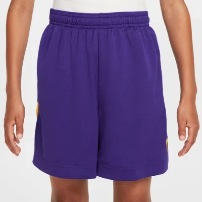 Nike Kids' Boys   Kobe Dri-fit Fundamental Shorts In Court Purple
