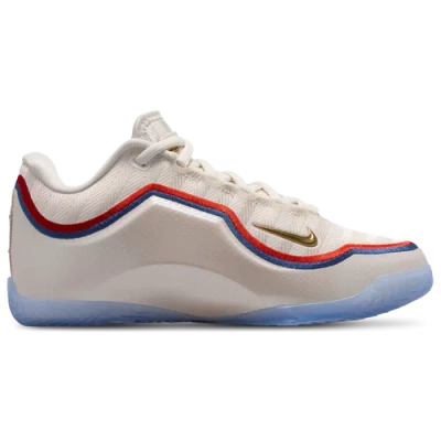 Nike Kids' Boys Lebron James  Lebron Xxiii Og In Multi