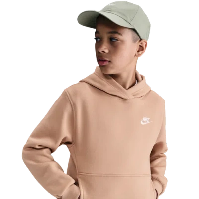 Nike Kids' Boys   Nsw Club Lbr Fleece Hoodie In Multi