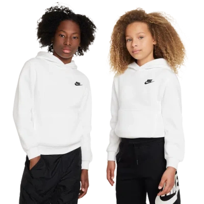 Nike Kids' Boys   Nsw Club Lbr Fleece Hoodie In Multi